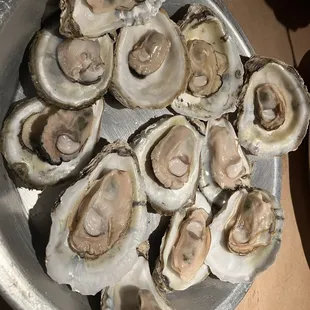 A dozen ousters for $20