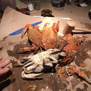 Crab