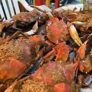 Steamed Crabs