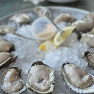 Oyster on the half shell $21.99 dozen