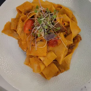 Duck Pappardelle