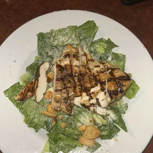 Grilled Chicken Caesar
