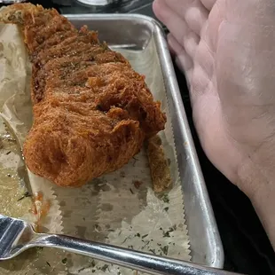 Fish next to my large hand for size comparison