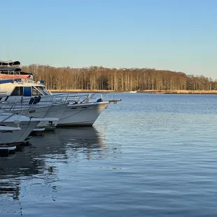 Dock