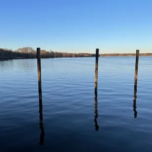 View from side of Blue Heron