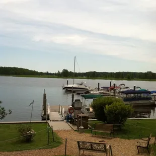 View from the patio