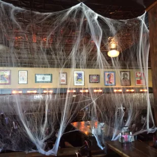 Con webs for October