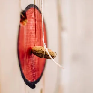 Cut the Nut challenge