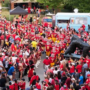 a large crowd of people at a football game