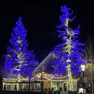 Blue Stag front patio and lit trees