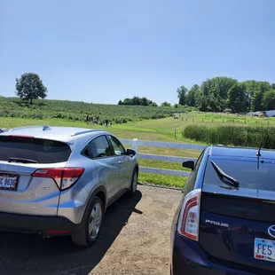 outside
