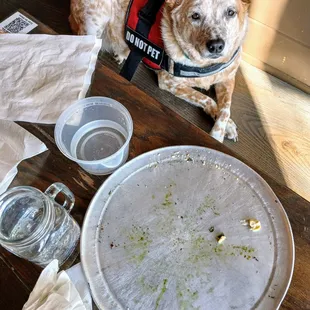 WE ATE THE HOLE PIZZA!!