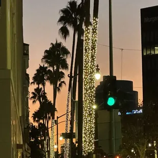 Gorgeous sunset through the palm trees looking down Wilshire.