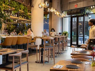 Java Nation - Silver Spring