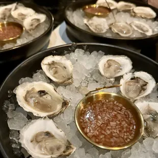 oysters on ice