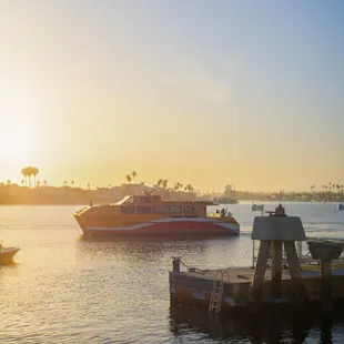 The Aqualink runs every weekend all year, during the summer it runs every day. The Aqualink boat ride is  an adventure you need to try