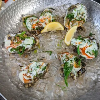 Salt Run Oysters