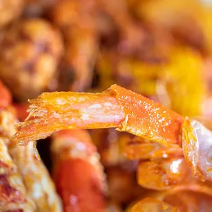 a closeup of a crab and shrimp