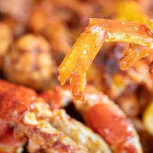 a close up of a crab with a fork in it