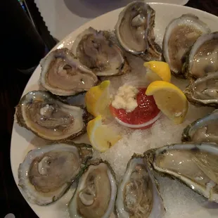 Blue Point Oysters