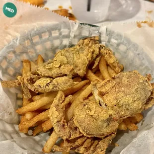 mussels, food, oysters and mussels, oysters, shellfish