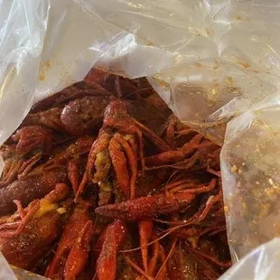 food, mussels, oysters and mussels, shellfish, oysters