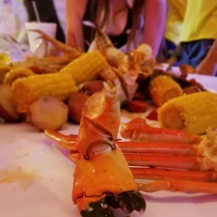 Crack Stone Crabs