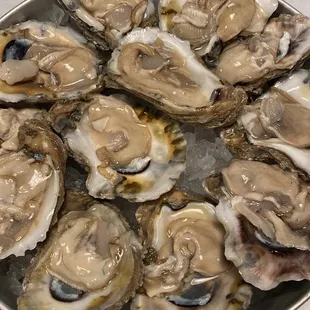 a platter of oysters