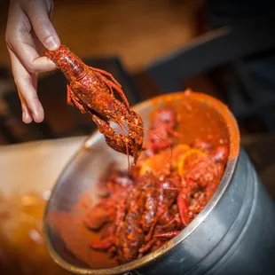 Louisiana crawfish