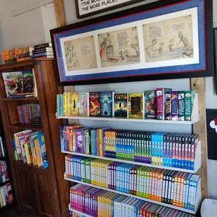 The Book Nook Bookstore Papillion Kid Book Section