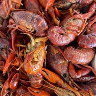 Boiled Louisiana Crawfish