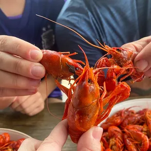 Ceremonial crawfish toast before the first bite