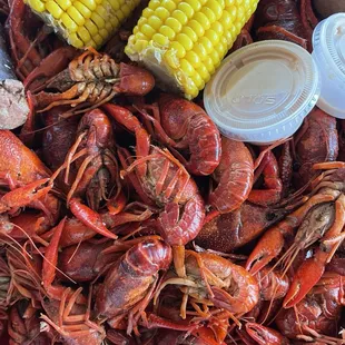 Boiled Louisiana Crawfish