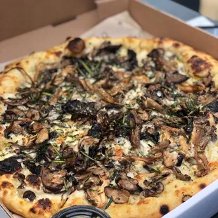 Mushroom pizza