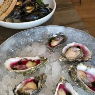 Oysters