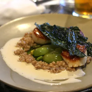 Caramelized Scallops