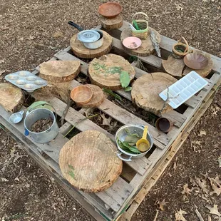 Kids nature play area