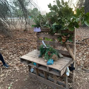 Kids nature play area