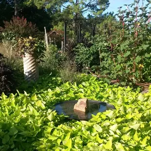 Lots of water features in the gardens.