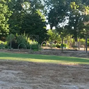 A good place to walk.