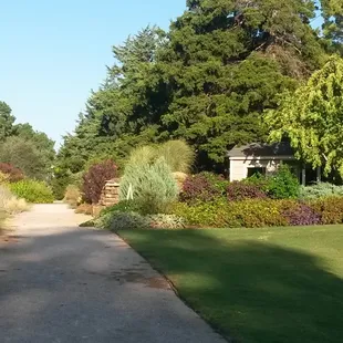 There a lots of things for kids to play with.