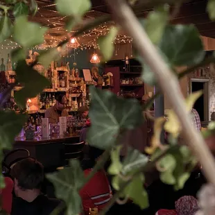 people sitting at the bar