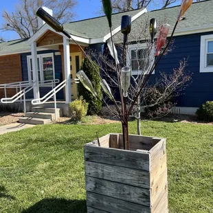 The Bottle Tree in BELMONT