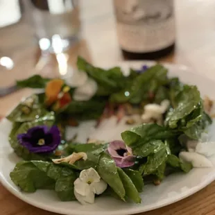 Green bean and pea salad