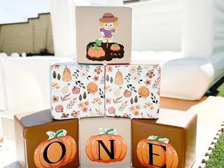 Party & Play Rentals