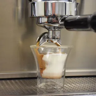 Espresso extracted into a bed of steamed milk.