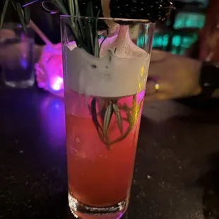 a drink with a sprig of rosemary