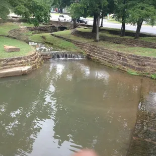 Looking out the big bay window very relaxing place!
