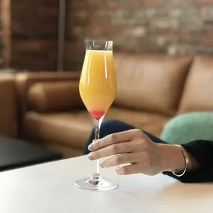 a person holding a glass of beer