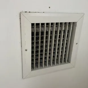 Mold on the air vent in the bathroom